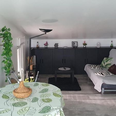 Appartement Cocooning Auterive Auterive  Eksteriør bilde
