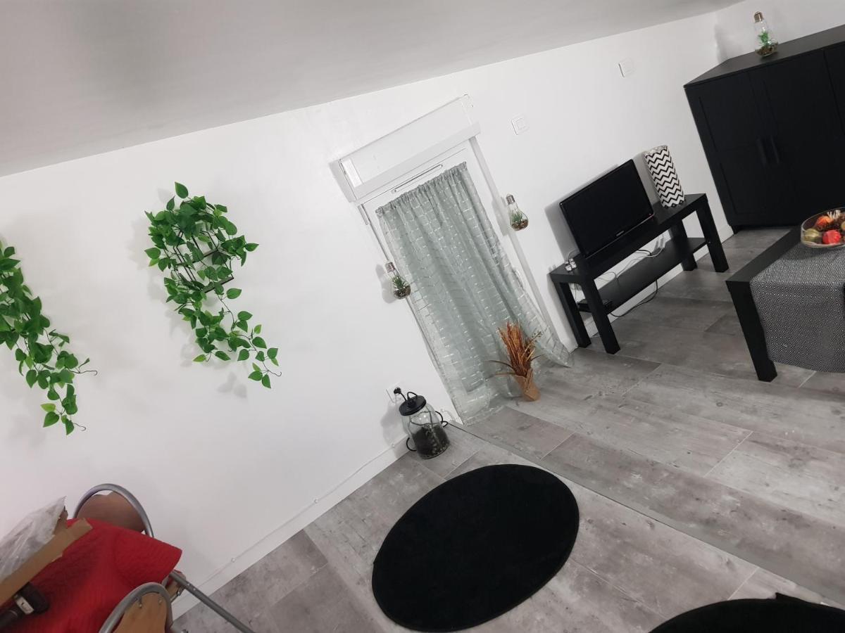 Appartement Cocooning Auterive Auterive  Eksteriør bilde